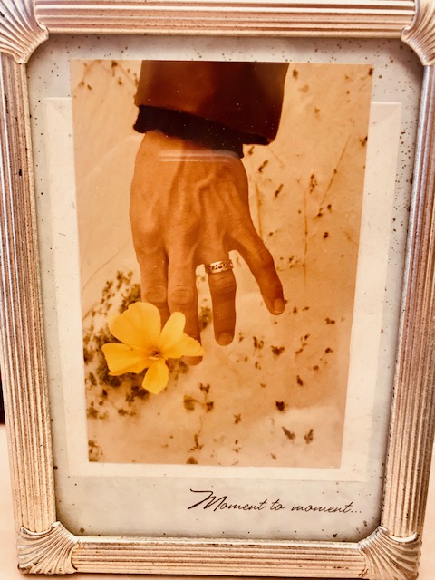 My husband and I walk along the Padre Island beach. I captured a moment in time where my life took a new road.